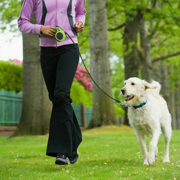 Automatic retractable dog leash hotsell